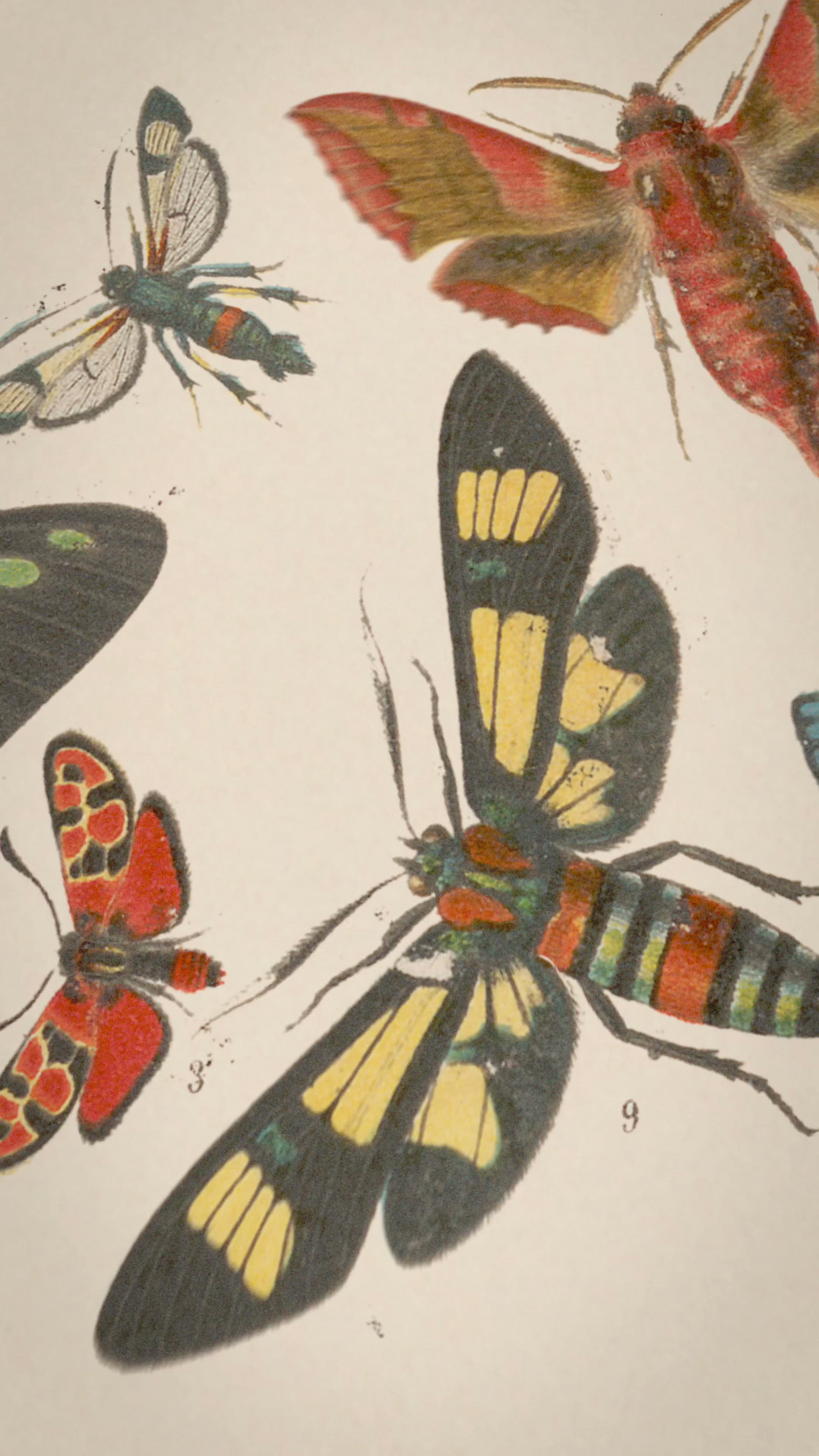 Preview for Claude Fable 5