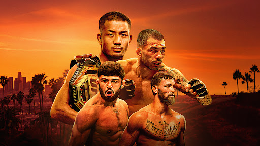Preview for UFC 331