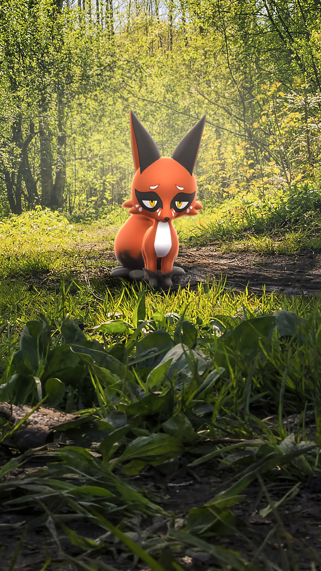 August 2026 Community Day 活动预览