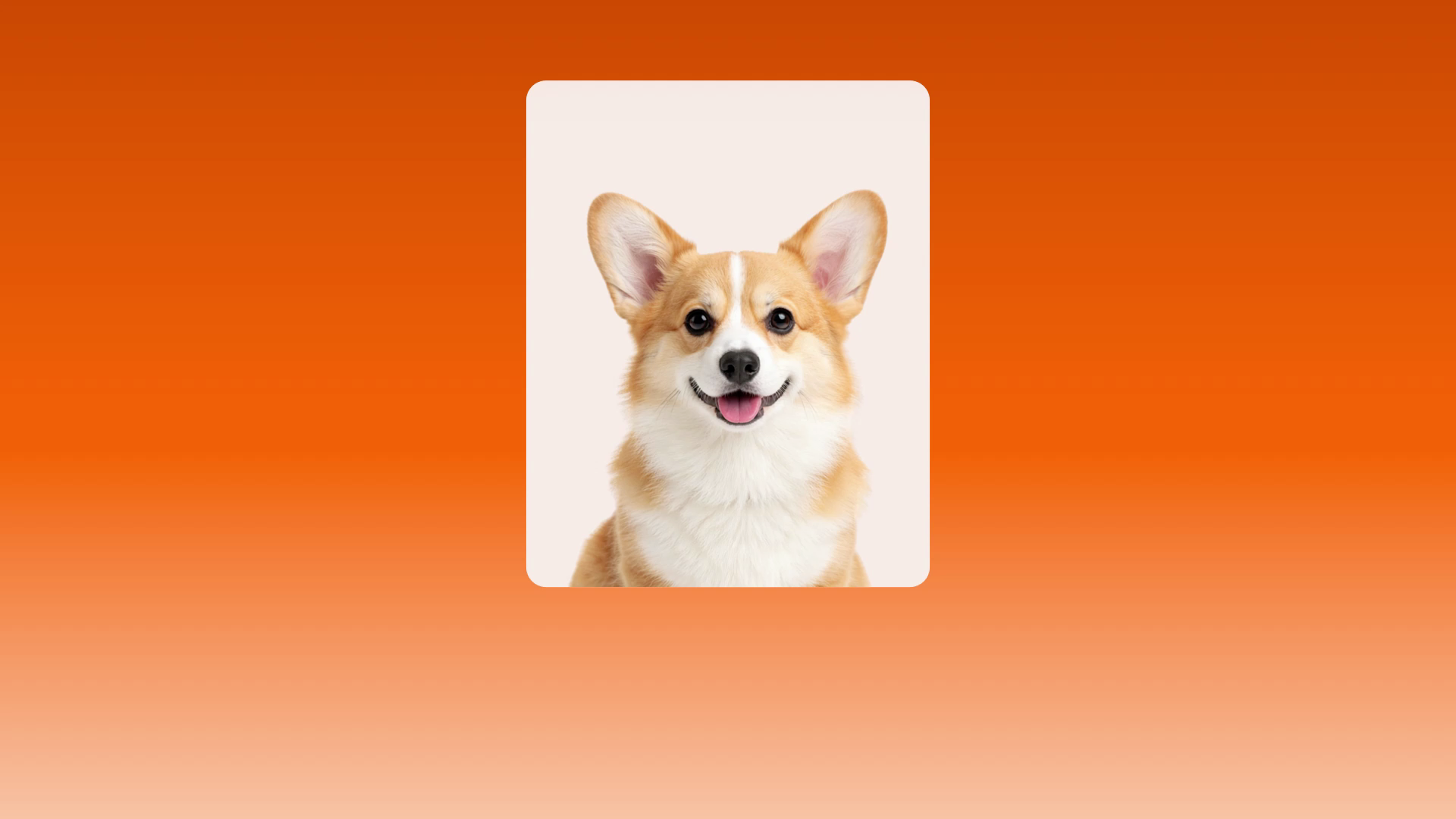 Preview for Turn photos into graphics fast