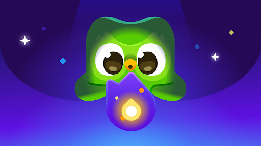Preview for Lost your Duolingo streak?