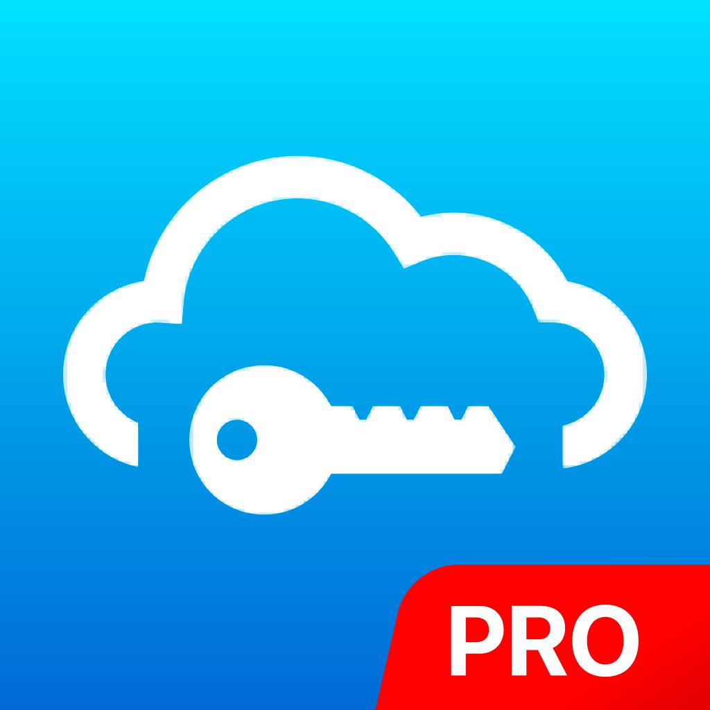 SafeInCloud Pro 