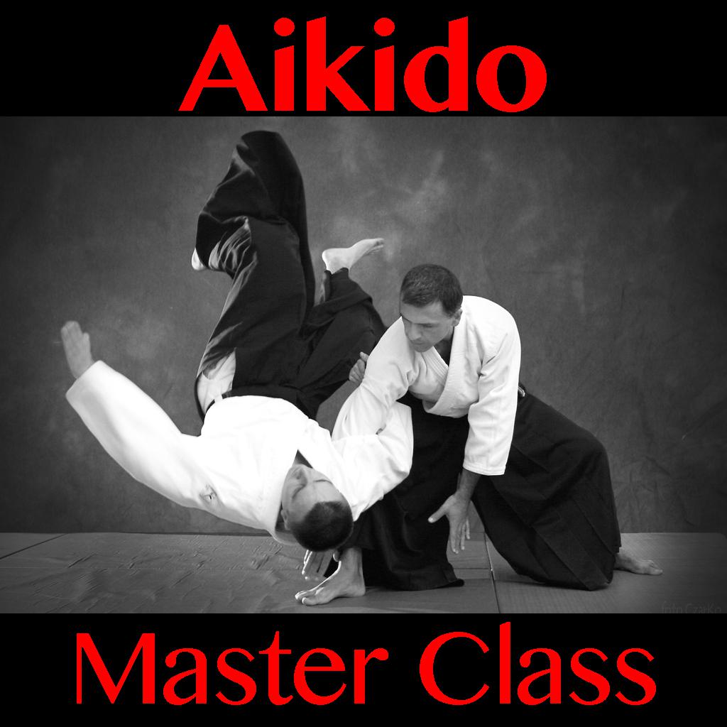 Aikido Master Class 