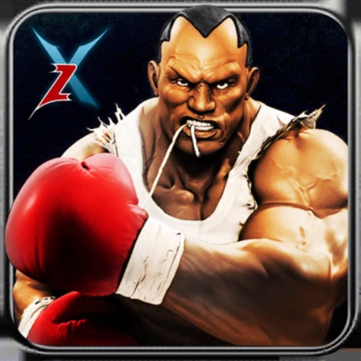 Real 3D Boxing Punch Pro