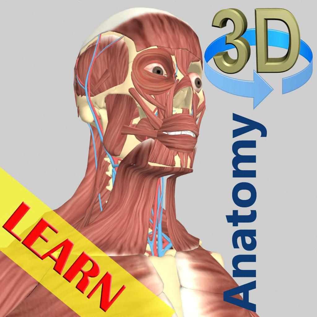 3D Anatomy Learning 