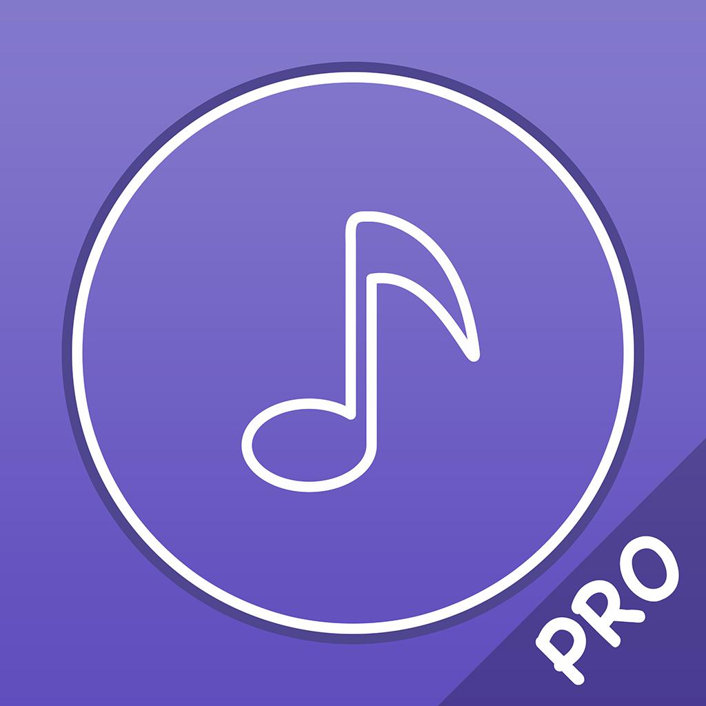 Music Player Pro - Player for lossless music  