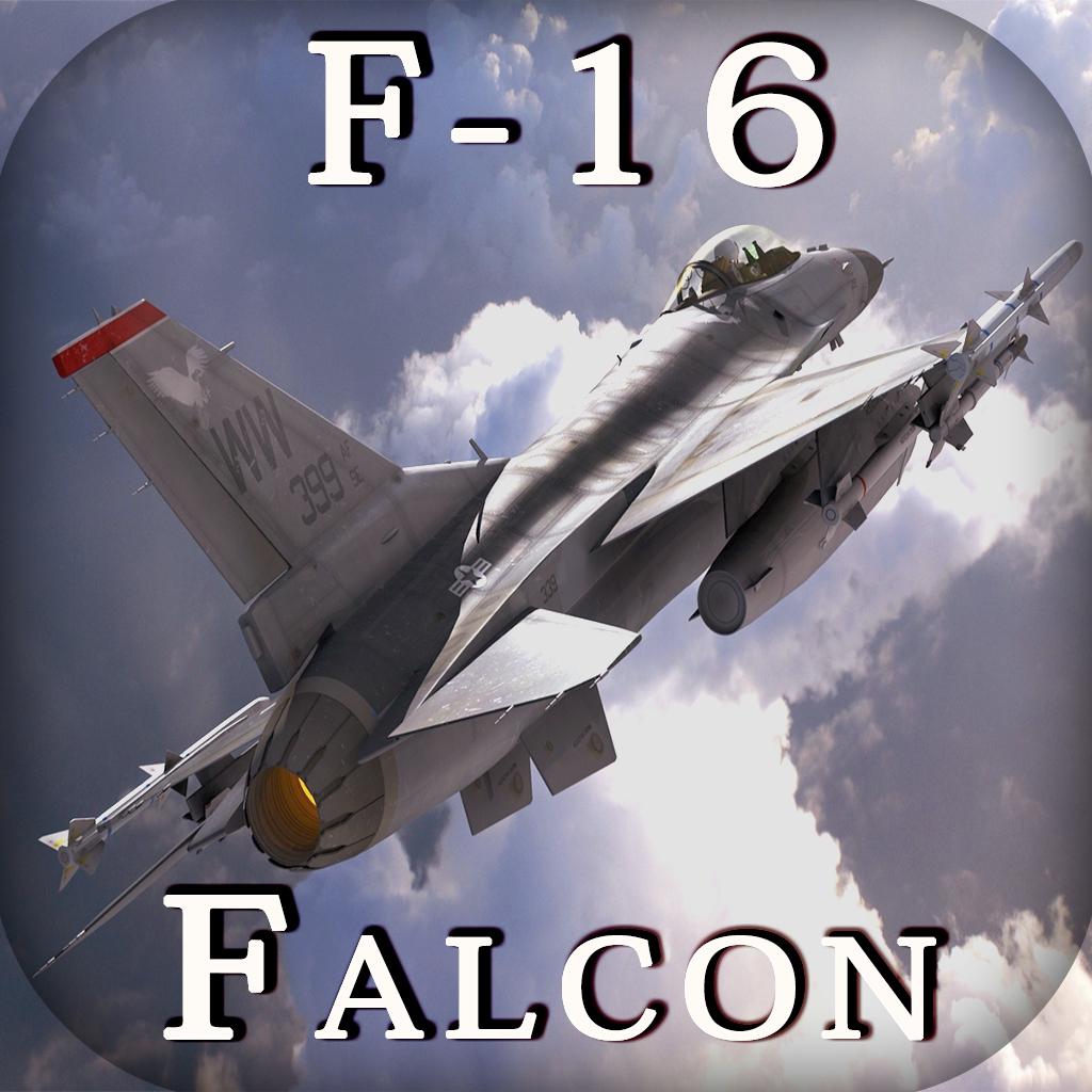 F-16 Fighting Falcon - Combat Flight Simulator of Infinite Fighter Hunter 