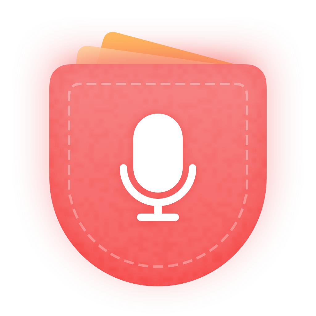 Voice Recorder Pro - Recording 